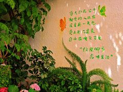 -懒人盐府人家·自贡大麻鱼(安贞店)