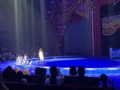-珠海横琴长隆《卡卡虎奇遇记》