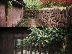 -杭州植物园