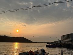 -华都海鲜酒家