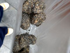 -叶氏麻糍(鼓浪屿店)