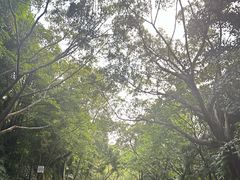 -南宁南湖公园