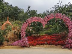 -南丹山森林王国