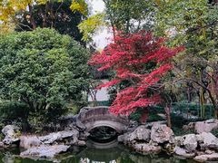 -秋霞圃