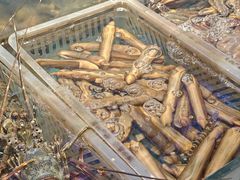 -启东小海鲜(庄先湾路1号店)