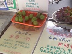 -马陆小张葡萄园农家乐