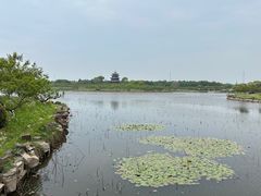 -上海海湾国家森林公园