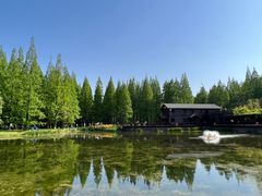 -黄海国家森林公园