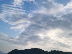 -杨梅坑