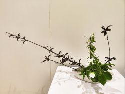 -今日陶艺(富力广场店)