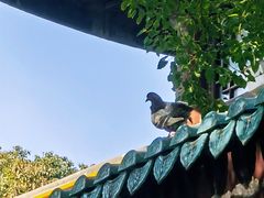 -无锡梅园公园