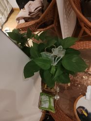 -Dr.林醫生产后修复·配方产康店(南京大厂店)