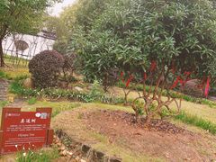 -武汉紫薇都市田园