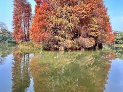 -中国科学院华南植物园