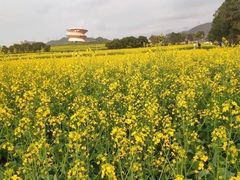 -光明小镇欢乐田园