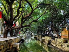 -小洲村
