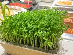 -海底捞火锅(银泰中心店)