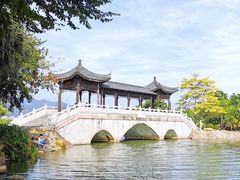 -飞来湖湿地公园