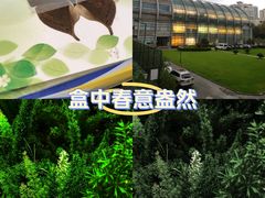 -上海昆虫博物馆