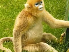 -西安秦岭野生动物园