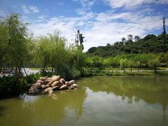 -飞凤山奥体公园