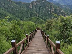 -大岭沟猕猴桃谷风景区