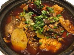 -眉州东坡·熊猫主题餐厅(枫蓝店)