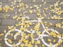 -星巴克(北京望京店)