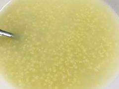 小米粥-宝瑞门钉肉饼店