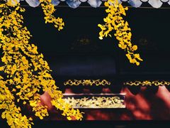 -上海白云观