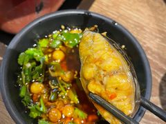 红汤梭边鱼锅-新辣道鱼火锅(世纪金源购物中心店)