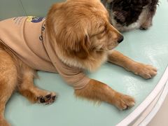 -怪兽屋·羊驼·猫咖·狗咖(俊华广场店)