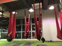 -桃秘钢管舞Peach Pole Fitness