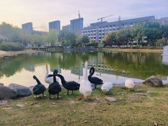 -安徽大学(磬苑校区)
