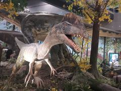 -湖南省地质博物馆