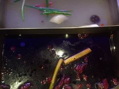 -王家渡火锅(金宝汇店)