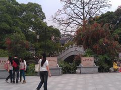 -小洲村