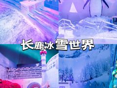 -长鹿旅游休博园