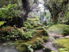 -Chom Cafe and Restaurant