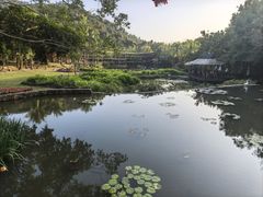 -海南槟榔谷黎苗文化旅游区