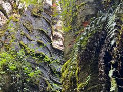 -梭布垭石林景区