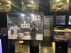 -太平洋海底世界