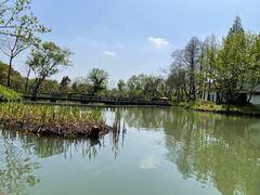 -西溪国家湿地公园