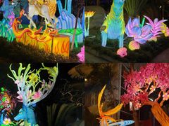 -海合安成都极地海洋公园
