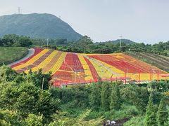 -东部华侨城