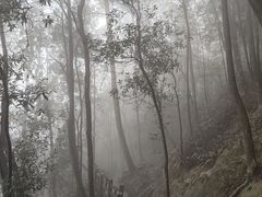 -缙云山景区