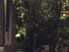 春天里餐厅-春天里·老街坊餐厅(港隆广场店)