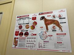 -安安宠医·臻爱宠物医院·宠保定点(营门口路分院)