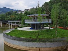 -银湖山郊野公园-相思林