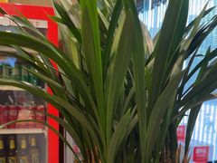 -上海精菜馆(虎踞关店)